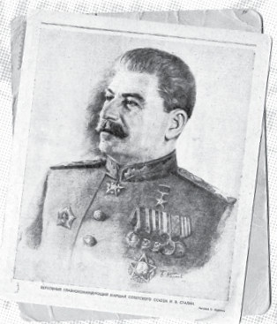 Иллюстрация к книге — Ржев — Сталинград. Скрытый гамбит маршала Сталина [i_005.jpg]