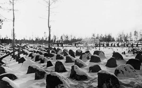 Иллюстрация к книге — Зимняя война: «Ломят танки широкие просеки» [block_001320_page_015_image_0001.jpg]