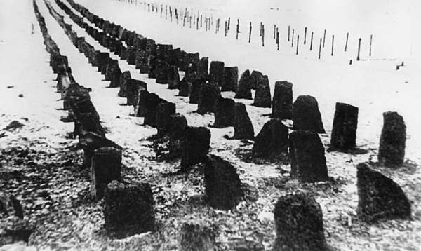 Иллюстрация к книге — Зимняя война: «Ломят танки широкие просеки» [block_001320_page_017_image_0001.jpg]