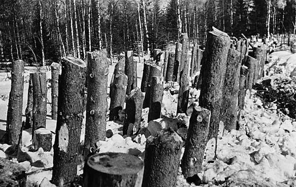 Иллюстрация к книге — Зимняя война: «Ломят танки широкие просеки» [block_001320_page_206_image_0001.jpg]