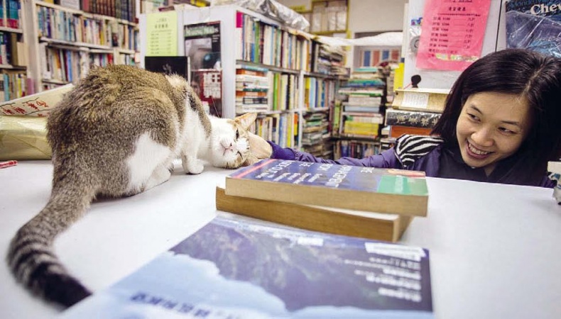 Иллюстрация к книге — Белый медведь в стране драконов [_022.jpg]