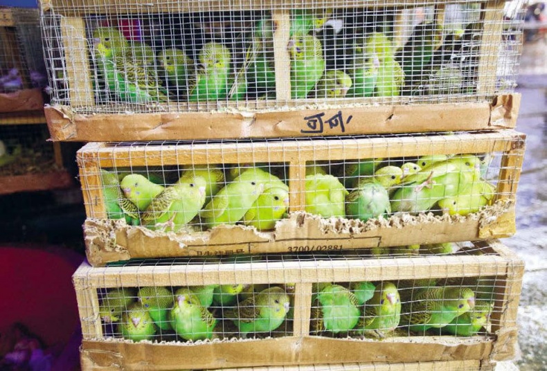 Иллюстрация к книге — Белый медведь в стране драконов [_039.jpg]