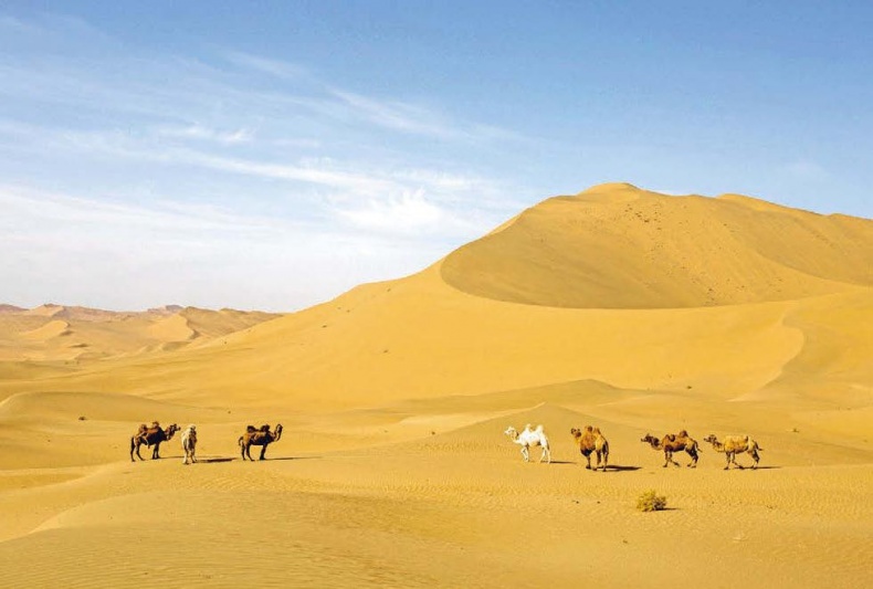 Иллюстрация к книге — Белый медведь в стране драконов [_098.jpg]