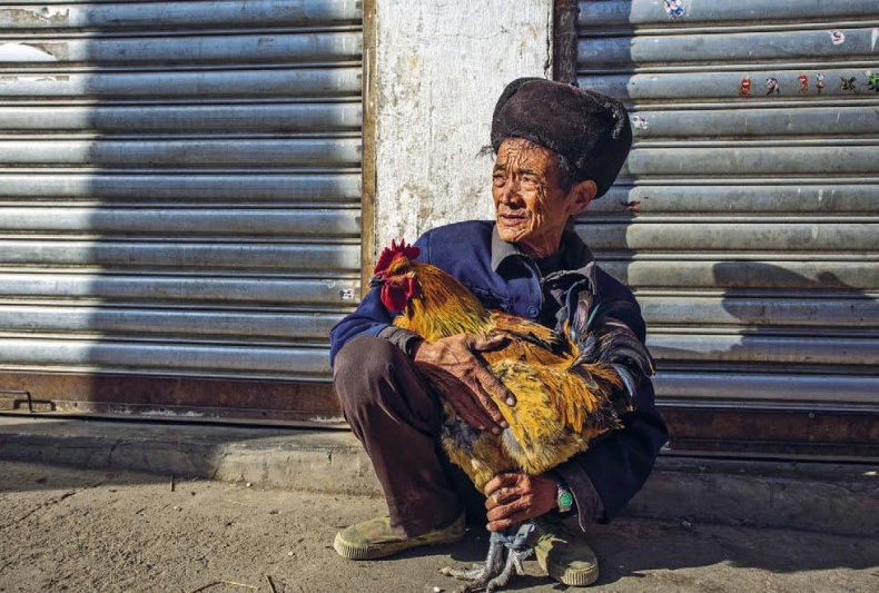 Иллюстрация к книге — Белый медведь в стране драконов [_127.jpg]