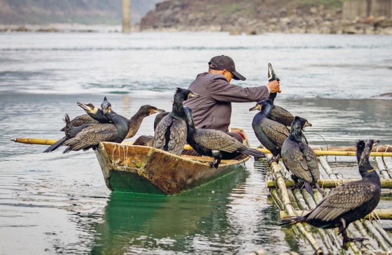 Иллюстрация к книге — Белый медведь в стране драконов [_192.jpg]