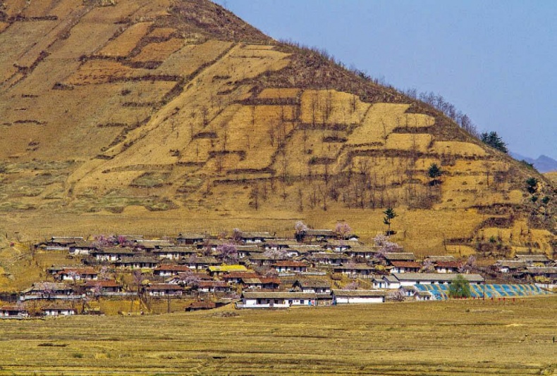 Иллюстрация к книге — Белый медведь в стране драконов [_240.jpg]