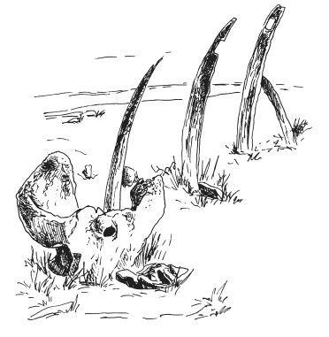 Иллюстрация к книге — Чудеса света [i_008.jpg]