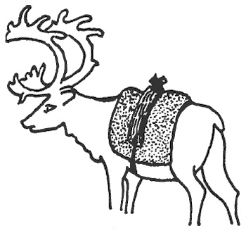 Иллюстрация к книге — Лапландцы. Охотники за северными оленями [i_035.jpg]