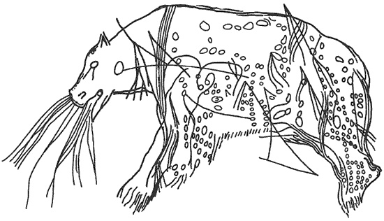Иллюстрация к книге — Лапландцы. Охотники за северными оленями [i_048.jpg]
