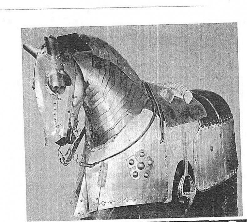 Иллюстрация к книге — Рыцарские доспехи Европы. Универсальный обзор музейных коллекций [p49.jpg]