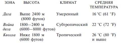 Иллюстрация к книге — Абиссинцы. Потомки царя Соломона [_20110523_155243.jpg]