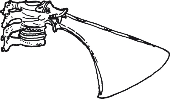 Иллюстрация к книге — Ханаанцы. На земле чудес ветхозаветных [i_029.jpg]