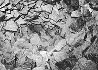 Иллюстрация к книге — Бретонцы. Романтики моря [photo02.jpg]