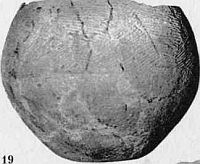 Иллюстрация к книге — Бретонцы. Романтики моря [photo15.jpg]