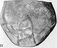 Иллюстрация к книге — Бретонцы. Романтики моря [photo17.jpg]