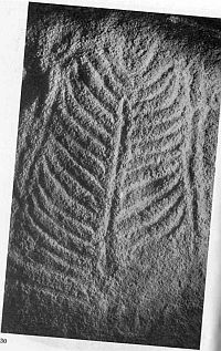 Иллюстрация к книге — Бретонцы. Романтики моря [photo26.jpg]