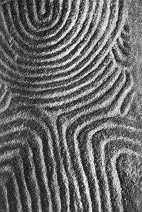 Иллюстрация к книге — Бретонцы. Романтики моря [photo35.jpg]