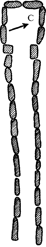 Иллюстрация к книге — Бретонцы. Романтики моря [pict08.jpg]