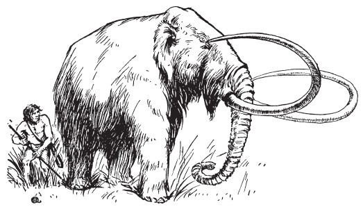 Иллюстрация к книге — Первобытные люди. Быт, религия, культура [i_018.jpg]