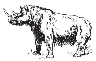 Иллюстрация к книге — Первобытные люди. Быт, религия, культура [i_019.jpg]