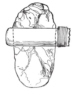 Иллюстрация к книге — Первобытные люди. Быт, религия, культура [i_028.jpg]