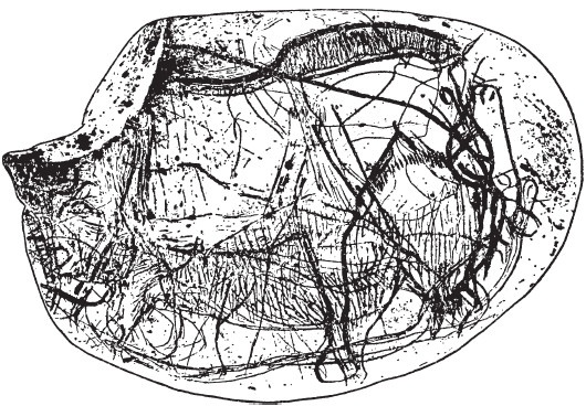 Иллюстрация к книге — Первобытные люди. Быт, религия, культура [i_042.jpg]