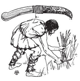 Иллюстрация к книге — Первобытные люди. Быт, религия, культура [i_084.jpg]