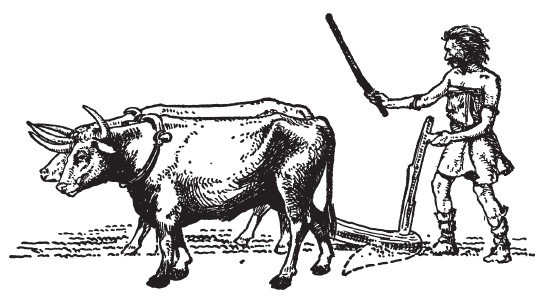 Иллюстрация к книге — Первобытные люди. Быт, религия, культура [i_116.jpg]