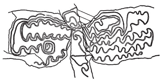 Иллюстрация к книге — Первобытные люди. Быт, религия, культура [i_122.jpg]
