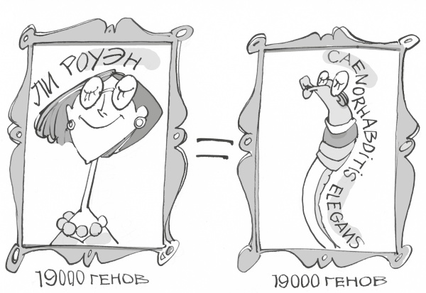 Иллюстрация к книге — Дикие гены [i_032.jpg]