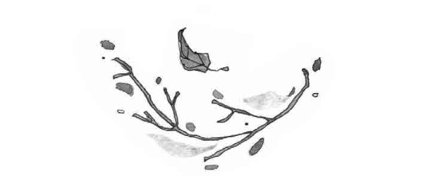 Иллюстрация к книге — Книга огня [i_001.jpg]