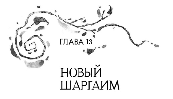 Иллюстрация к книге — Книга огня [i_028.jpg]