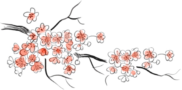 Иллюстрация к книге — Жизнь в стиле Палли-палли, или Особенности южнокорейского счастья. Как успеть все и получить от этого удовольствие [i_002.jpg]