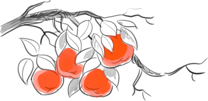 Иллюстрация к книге — Жизнь в стиле Палли-палли, или Особенности южнокорейского счастья. Как успеть все и получить от этого удовольствие [i_008.jpg]