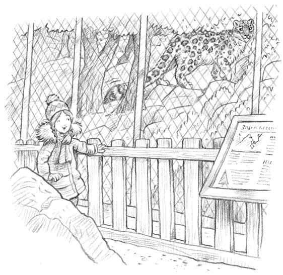 Иллюстрация к книге — Рождественские истории. Девочка из лунного света [i_005.jpg]