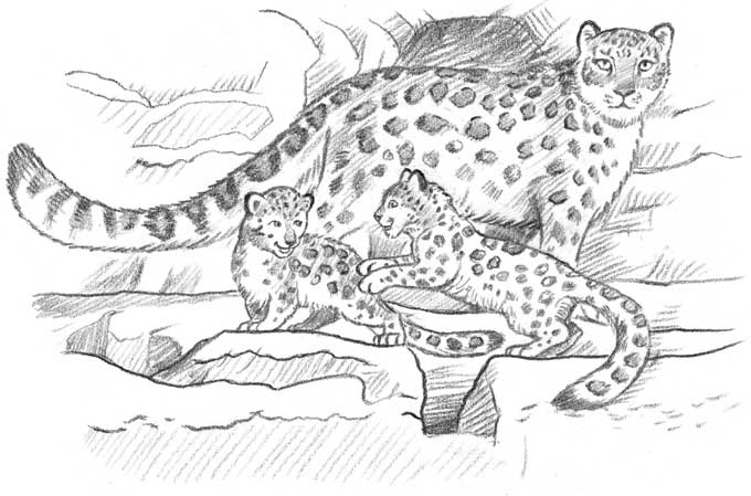 Иллюстрация к книге — Рождественские истории. Девочка из лунного света [i_017.jpg]