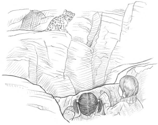 Иллюстрация к книге — Рождественские истории. Девочка из лунного света [i_018.jpg]