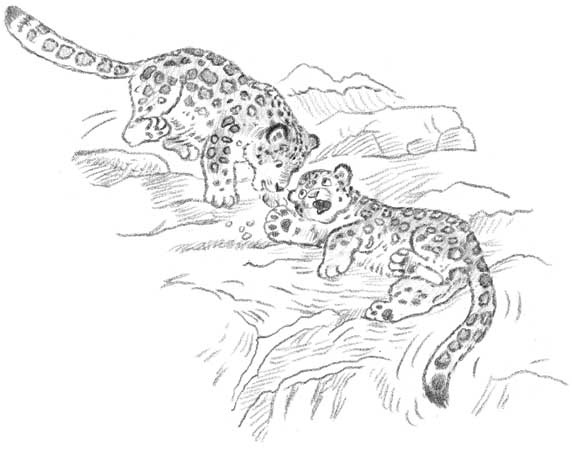 Иллюстрация к книге — Рождественские истории. Девочка из лунного света [i_024.jpg]