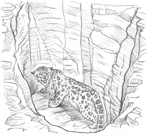 Иллюстрация к книге — Рождественские истории. Девочка из лунного света [i_038.jpg]