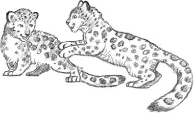 Иллюстрация к книге — Рождественские истории. Девочка из лунного света [i_046.jpg]