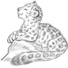 Иллюстрация к книге — Рождественские истории. Девочка из лунного света [i_047.jpg]