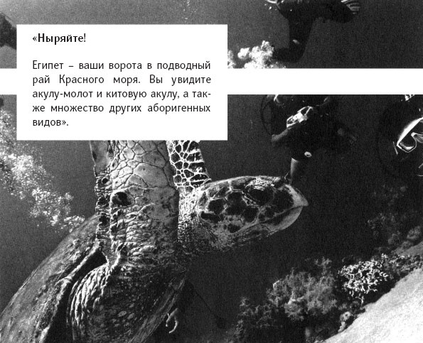 Иллюстрация к книге — Убедительное письмо. Как использовать силу слов [_2.jpg]