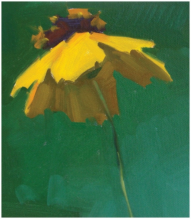 Иллюстрация к книге — Ни дня без кисти. Как рисовать часто и понемногу, сохранять свежий взгляд, не бояться экспериментов, быть уверенным и свободным в творчестве [i_010.jpg]