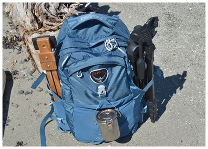 Иллюстрация к книге — Ни дня без кисти. Как рисовать часто и понемногу, сохранять свежий взгляд, не бояться экспериментов, быть уверенным и свободным в творчестве [i_038.jpg]