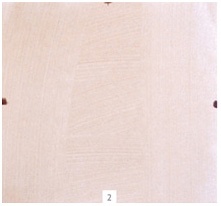 Иллюстрация к книге — Ни дня без кисти. Как рисовать часто и понемногу, сохранять свежий взгляд, не бояться экспериментов, быть уверенным и свободным в творчестве [i_142.jpg]