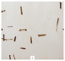 Иллюстрация к книге — Ни дня без кисти. Как рисовать часто и понемногу, сохранять свежий взгляд, не бояться экспериментов, быть уверенным и свободным в творчестве [i_149.jpg]
