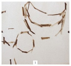 Иллюстрация к книге — Ни дня без кисти. Как рисовать часто и понемногу, сохранять свежий взгляд, не бояться экспериментов, быть уверенным и свободным в творчестве [i_150.jpg]