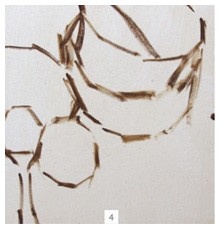 Иллюстрация к книге — Ни дня без кисти. Как рисовать часто и понемногу, сохранять свежий взгляд, не бояться экспериментов, быть уверенным и свободным в творчестве [i_151.jpg]