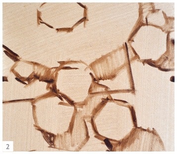 Иллюстрация к книге — Ни дня без кисти. Как рисовать часто и понемногу, сохранять свежий взгляд, не бояться экспериментов, быть уверенным и свободным в творчестве [i_207.jpg]