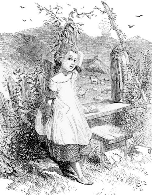 Иллюстрация к книге — Суеверия викторианской Англии [i_039.jpg]